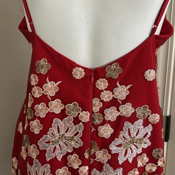Free People x Backstage Australia Red Floral Dress Embroidered Lace Lined Sz M - Picture 8 of 15